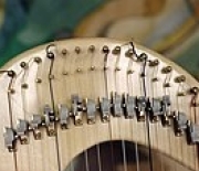 Forlorn Feline - The Harp    