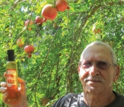 Mandrake and Pomegranate Liqueurs