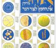 A HAGGADAH FOR OUR TIME  