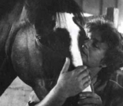 Shirley Hirsch, a passion for horses