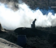 West Bank Charcoal Plants Forced to Close